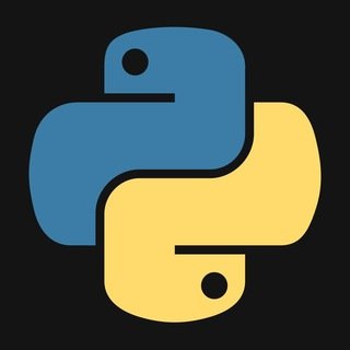 Python 프로필